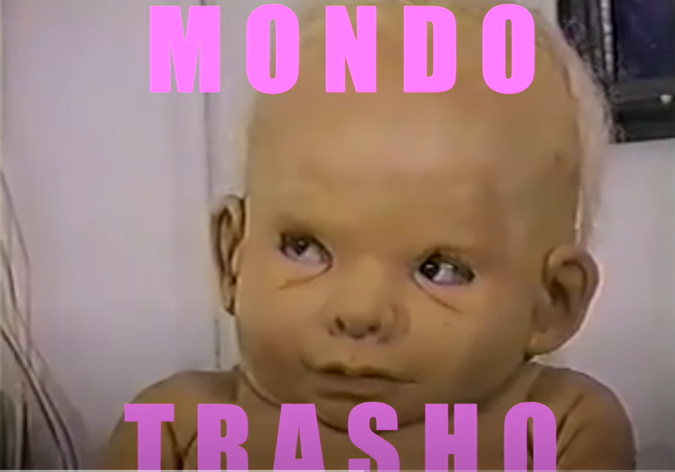 Mondo Trasho : « A dragonfly for each corpse », « Rat Man », « Deadly Eyes »…