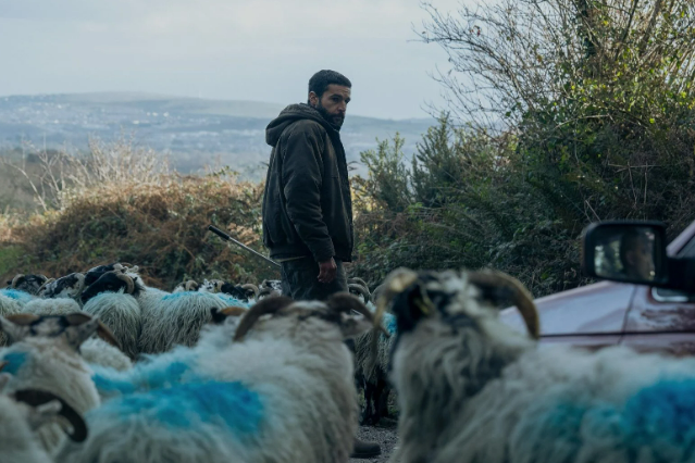 « Le clan des bêtes » de Christopher Andrews : coup d’essai prometteur et frustrant