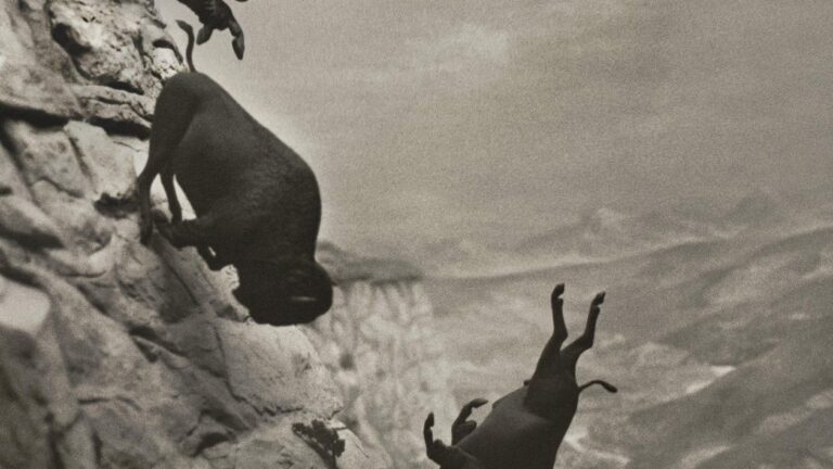 [CANNES 2025] GAZETTE CHAOS DU FESTIVAL – JOUR 5