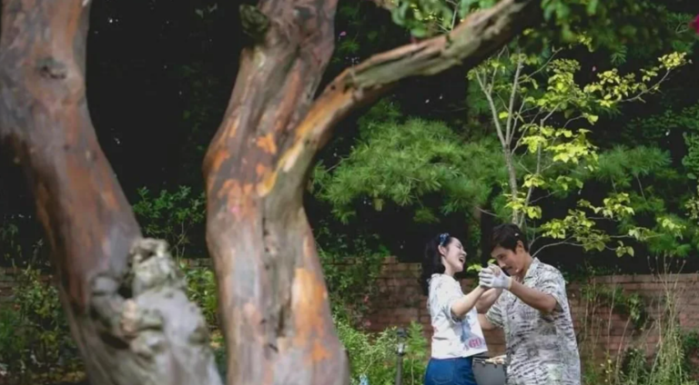 « No Other Choice » : premières images du nouveau Park Chan-Wook