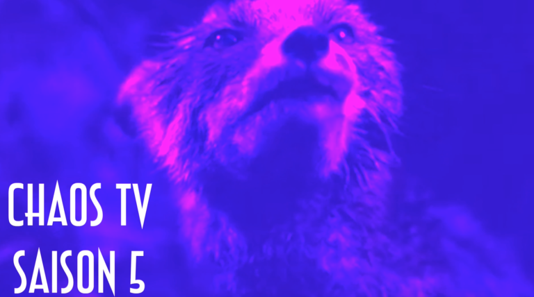 Chaos TV saison 5 émission 1 : Julia Kowalski, Maria Wróbel, Roxane Mesquida, Étrange Festival…