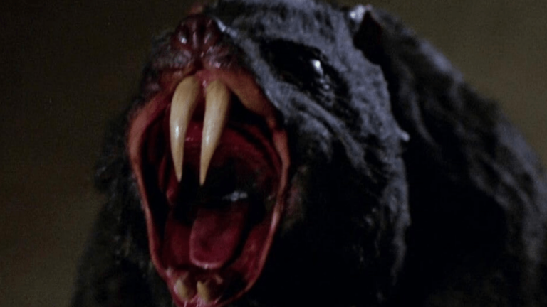 [LES RATS ATTAQUENT] Robert Clouse, 1982