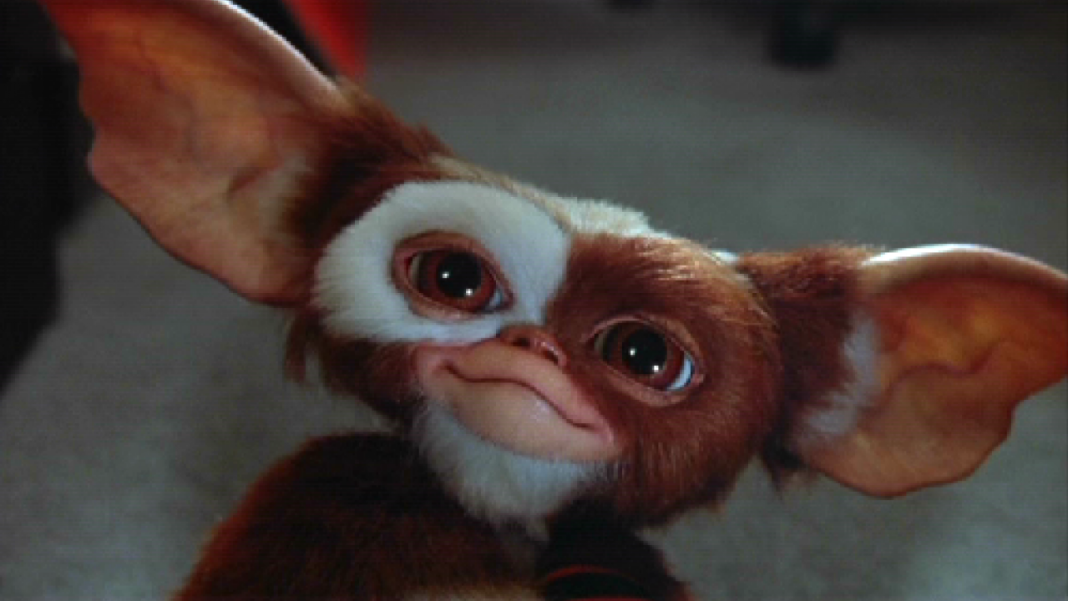Incroyable mais vrai : un « Gremlins 3 » prévu en 2027, Chris Columbus à la réal