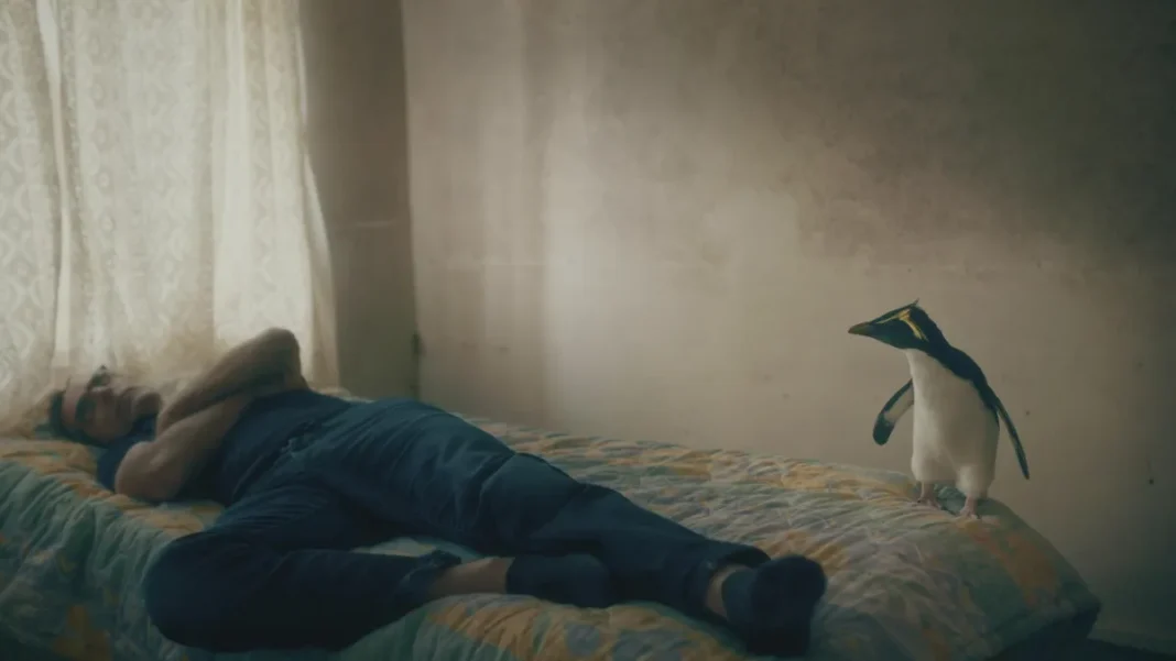 « Tristan Forever » de Tobias Nölle et Loran Bonnardot : un curieux docu-fiction avec un médecin parisien, un pingouin et une communauté volcanique