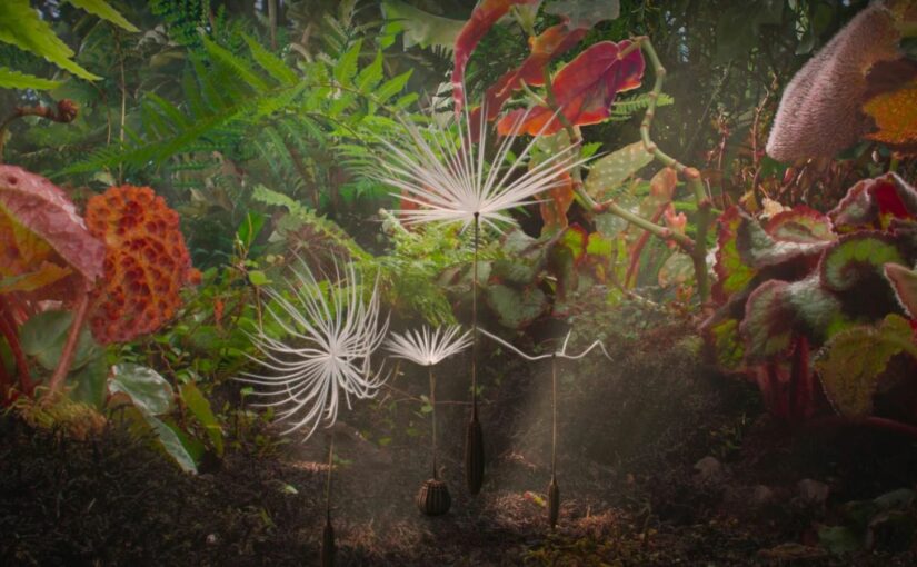 « Planètes » de Momoko Seto : une curiosité animée propre à émerveiller tout un chacun