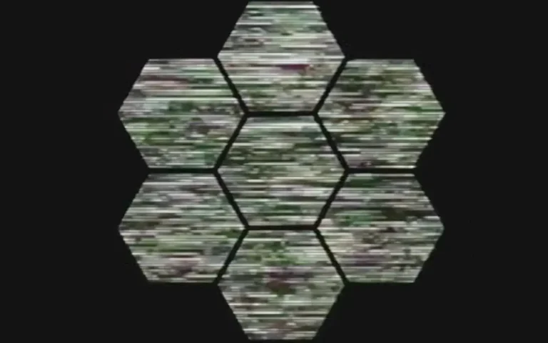 PLAYLIST CHAOS 05/26 : The Andrew Oldham Orchestra, Yellow Magic Orchestra, Cut Face, Loma, Beach House, BOC