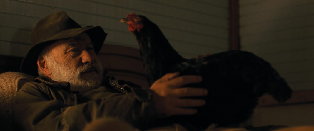 « Cocotte » de György Pálfi : un film très divertissant à hauteur de poule par le réalisateur de « Taxidermie » et de « Hic »