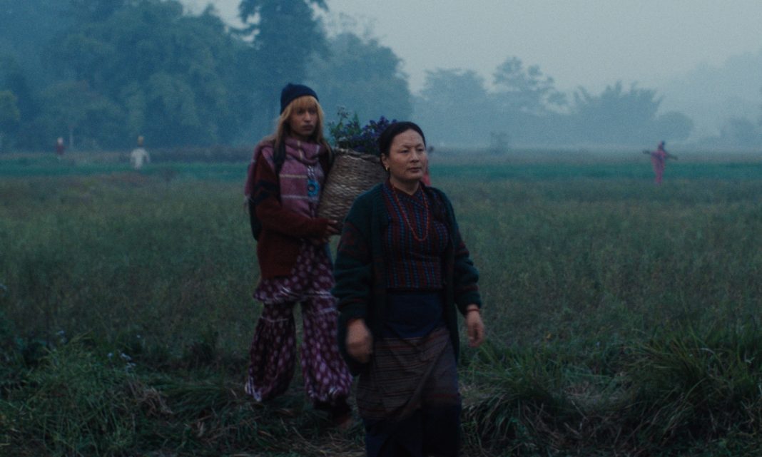 « Les éléphants dans la brume » de Abinash Bikram Shah à Cannes 2026 : le premier film népalais en sélection officielle